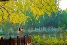 91精品麻豆k色-正经访文，网络内容安全的思考与启示