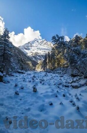 大象英语视频教学视频-探索大象英语视频教学视频的魅力与价值