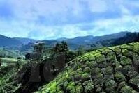 精品人妻一区二区三区四区在线-品味生活，探索网络世界的多元文化与家庭和谐