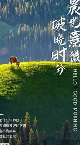 伦理电影视频-伦理电影视频，透视人性与道德的深度镜鉴