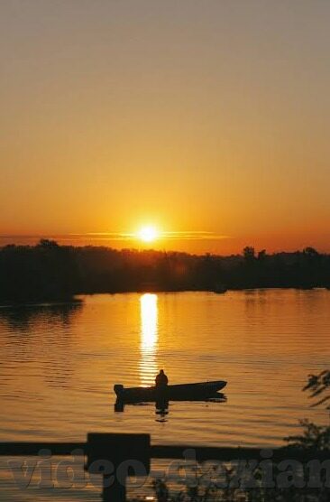 日韩高清AV免费-日韩高清AV免费，网络时代的文化交汇与伦理边界