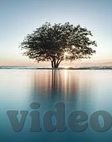 糖心vlog刷永久教程-解锁生活创意，探索糖心Vlog的永久玩法教程