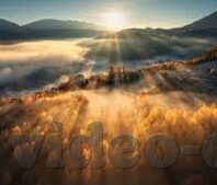 一区二区三区高清-探索高清视界，一区、二区、三区的精彩呈现