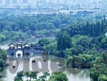 中文字幕在线在线线-探索中文字幕在线平台的多元化与便捷性